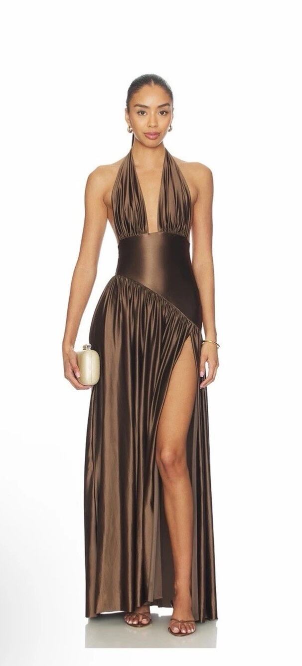 DELFI Rae Dress in Brown Sz Small NEW $398
